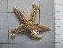  ( - SeaMP_SB301)  @11 [ ] Unspecified (default): All Rights Reserved (2023) Unspecified Unspecified