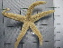  ( - SeaMP_SB301)  @11 [ ] Unspecified (default): All Rights Reserved (2023) Unspecified Unspecified