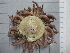  ( - SeaMP_SB361)  @11 [ ] Unspecified (default): All Rights Reserved (2023) Unspecified Unspecified