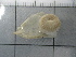  ( - SeaMP_SB363)  @11 [ ] Unspecified (default): All Rights Reserved (2023) Unspecified Unspecified