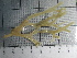 ( - SeaMP_SB419)  @11 [ ] Unspecified (default): All Rights Reserved (2023) Unspecified Unspecified