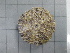  ( - SeaMP_SB069)  @11 [ ] Unspecified (default): All Rights Reserved (2022) Unspecified Unspecified