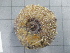  ( - SeaMP_SB069)  @11 [ ] Unspecified (default): All Rights Reserved (2022) Unspecified Unspecified