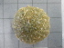  ( - SeaMP_SB070)  @11 [ ] Unspecified (default): All Rights Reserved (2022) Unspecified Unspecified