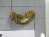  ( - SeaMP_SB007)  @11 [ ] Unspecified (default): All Rights Reserved (2022) Unspecified Unspecified