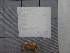  ( - SeaMP_SB009)  @11 [ ] Unspecified (default): All Rights Reserved (2022) Unspecified Unspecified