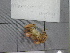  ( - SeaMP_SB009)  @11 [ ] Unspecified (default): All Rights Reserved (2022) Unspecified Unspecified