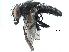  ( - BIOUG05603-E03)  @11 [ ] CreativeCommons - Attribution (2017) CBG Photography Group Centre for Biodiversity Genomics
