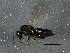  ( - BIOUG05648-F04)  @11 [ ] CreativeCommons - Attribution (2013) CBG Photography Group Centre for Biodiversity Genomics
