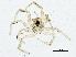  ( - BIOUG05510-B12)  @12 [ ] CreativeCommons - Attribution (2013) CBG Photography Group Centre for Biodiversity Genomics