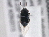  ( - BIOUG05502-A02)  @12 [ ] CreativeCommons - Attribution (2013) CBG Photography Group Centre for Biodiversity Genomics