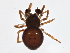  ( - BIOUG05516-E11)  @13 [ ] CreativeCommons - Attribution (2013) CBG Photography Group Centre for Biodiversity Genomics
