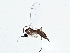  ( - BIOUG05522-H01)  @12 [ ] CreativeCommons - Attribution (2013) CBG Photography Group Centre for Biodiversity Genomics