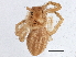  ( - BIOUG05533-E01)  @13 [ ] CreativeCommons - Attribution (2013) CBG Photography Group Centre for Biodiversity Genomics