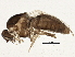  ( - BIOUG05535-E07)  @12 [ ] CreativeCommons - Attribution (2013) CBG Photography Group Centre for Biodiversity Genomics