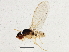  ( - BIOUG05535-G05)  @13 [ ] CreativeCommons - Attribution (2013) CBG Photography Group Centre for Biodiversity Genomics