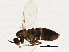  ( - BIOUG05539-G10)  @13 [ ] CreativeCommons - Attribution (2013) CBG Photography Group Centre for Biodiversity Genomics
