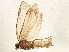  ( - BIOUG05543-C02)  @12 [ ] CreativeCommons - Attribution (2013) CBG Photography Group Centre for Biodiversity Genomics