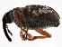  ( - BIOUG05551-B05)  @14 [ ] CreativeCommons - Attribution (2013) CBG Photography Group Centre for Biodiversity Genomics