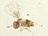  ( - BIOUG05569-E03)  @12 [ ] CreativeCommons - Attribution (2013) CBG Photography Group Centre for Biodiversity Genomics