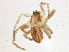  ( - BIOUG05569-F03)  @12 [ ] CreativeCommons - Attribution (2013) CBG Photography Group Centre for Biodiversity Genomics