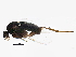  ( - BIOUG05589-E01)  @13 [ ] CreativeCommons - Attribution (2013) CBG Photography Group Centre for Biodiversity Genomics