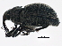  ( - BIOUG05598-G02)  @14 [ ] CreativeCommons - Attribution (2013) CBG Photography Group Centre for Biodiversity Genomics