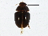  ( - BIOUG05600-F04)  @14 [ ] CreativeCommons - Attribution (2013) CBG Photography Group Centre for Biodiversity Genomics