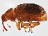  ( - BIOUG05605-H07)  @14 [ ] CreativeCommons - Attribution (2013) CBG Photography Group Centre for Biodiversity Genomics