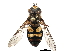  ( - BIOUG05607-C09)  @14 [ ] CreativeCommons - Attribution (2015) CBG Photography Group Centre for Biodiversity Genomics