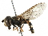  ( - BIOUG05611-C09)  @14 [ ] CreativeCommons - Attribution (2016) CBG Photography Group Centre for Biodiversity Genomics