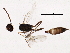  ( - BIOUG05613-A11)  @12 [ ] CreativeCommons - Attribution (2013) CBG Photography Group Centre for Biodiversity Genomics