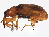  ( - BIOUG05617-E08)  @14 [ ] CreativeCommons - Attribution (2013) CBG Photography Group Centre for Biodiversity Genomics