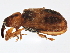  ( - BIOUG05617-F01)  @15 [ ] CreativeCommons - Attribution (2013) CBG Photography Group Centre for Biodiversity Genomics
