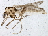  ( - BIOUG05636-G09)  @13 [ ] CreativeCommons - Attribution (2013) CBG Photography Group Centre for Biodiversity Genomics