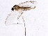  ( - BIOUG05642-A06)  @13 [ ] CreativeCommons - Attribution (2013) CBG Photography Group Centre for Biodiversity Genomics