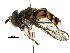  ( - BIOUG05656-A07)  @13 [ ] CreativeCommons - Attribution (2016) CBG Photography Group Centre for Biodiversity Genomics