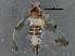 ( - BIOUG05658-D01)  @13 [ ] CreativeCommons - Attribution (2013) CBG Photography Group Centre for Biodiversity Genomics
