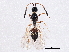  ( - BIOUG05663-E02)  @12 [ ] CreativeCommons - Attribution (2013) CBG Photography Group Centre for Biodiversity Genomics