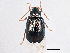  ( - BIOUG05673-A12)  @13 [ ] CreativeCommons - Attribution (2013) CBG Photography Group Centre for Biodiversity Genomics
