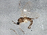  ( - BIOUG05675-D03)  @12 [ ] CreativeCommons - Attribution (2013) CBG Photography Group Centre for Biodiversity Genomics