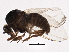  ( - BIOUG05681-E05)  @12 [ ] CreativeCommons - Attribution (2013) CBG Photography Group Centre for Biodiversity Genomics
