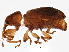  ( - BIOUG05683-E10)  @13 [ ] CreativeCommons - Attribution (2013) CBG Photography Group Centre for Biodiversity Genomics
