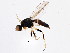  ( - BIOUG05689-D12)  @13 [ ] CreativeCommons - Attribution (2013) CBG Photography Group Centre for Biodiversity Genomics