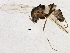  ( - BIOUG05703-C09)  @13 [ ] CreativeCommons - Attribution (2013) CBG Photography Group Centre for Biodiversity Genomics