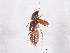  ( - BIOUG05705-H03)  @12 [ ] CreativeCommons - Attribution (2013) CBG Photography Group Centre for Biodiversity Genomics
