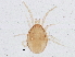  ( - BIOUG05716-H11)  @13 [ ] CreativeCommons - Attribution (2013) CBG Photography Group Centre for Biodiversity Genomics
