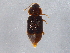  ( - BIOUG05502-A05)  @13 [ ] CreativeCommons - Attribution (2013) CBG Photography Group Centre for Biodiversity Genomics