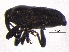  ( - BIOUG05502-B05)  @13 [ ] CreativeCommons - Attribution (2012) CBG Photography Group Centre for Biodiversity Genomics