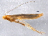  ( - BIOUG05515-B12)  @13 [ ] CreativeCommons - Attribution (2012) CBG Photography Group Centre for Biodiversity Genomics
